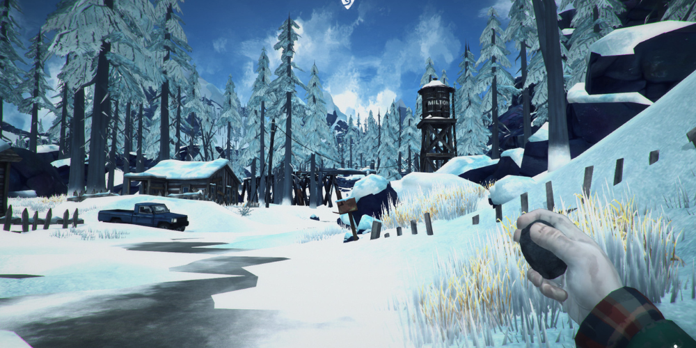 The Long Dark game